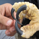 Image for article titled More Evidence that Dinosaurs Still Live Among Us